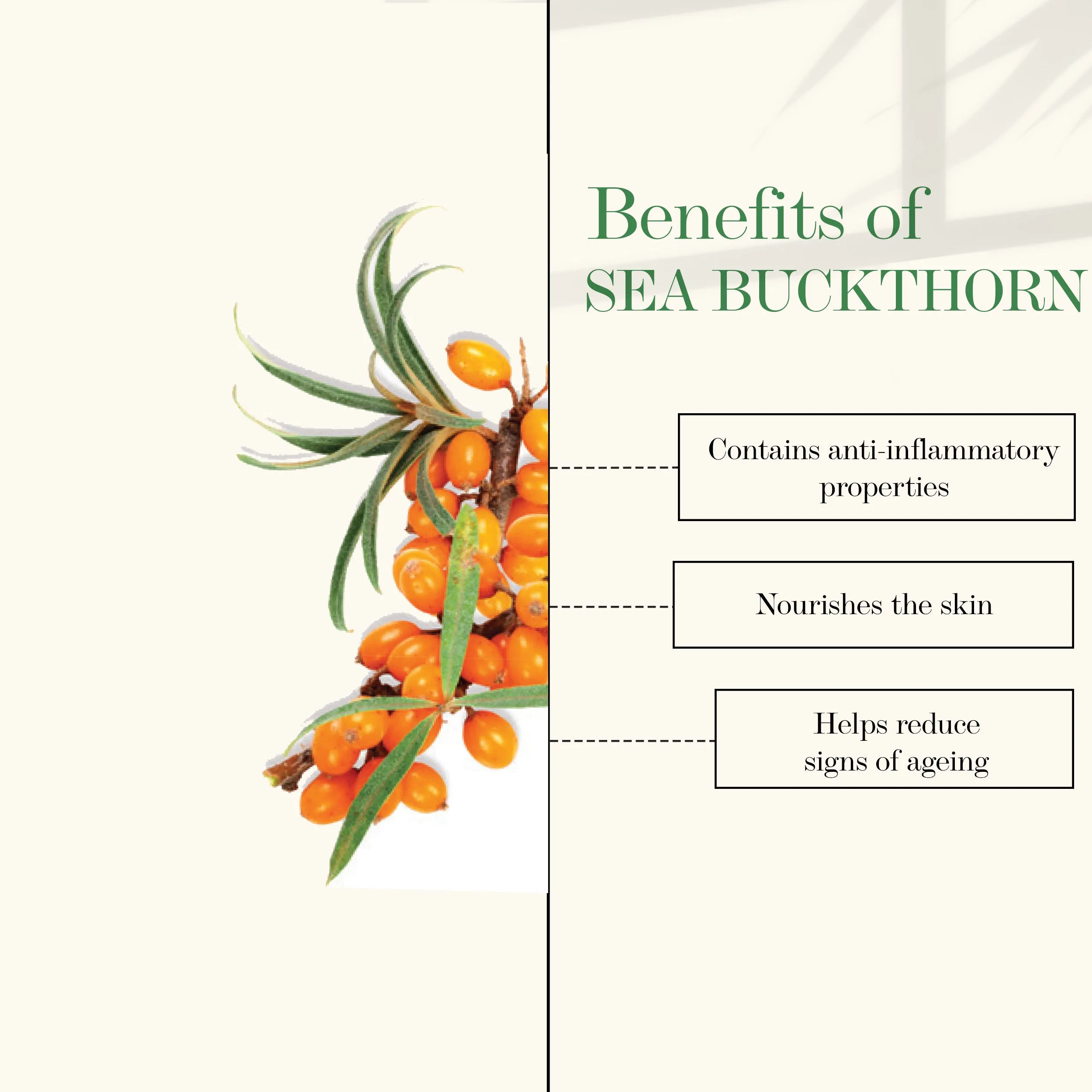 Good Vibes 100% Natural Sea Buckthorn Nourishing Facial Oil (10 ml)