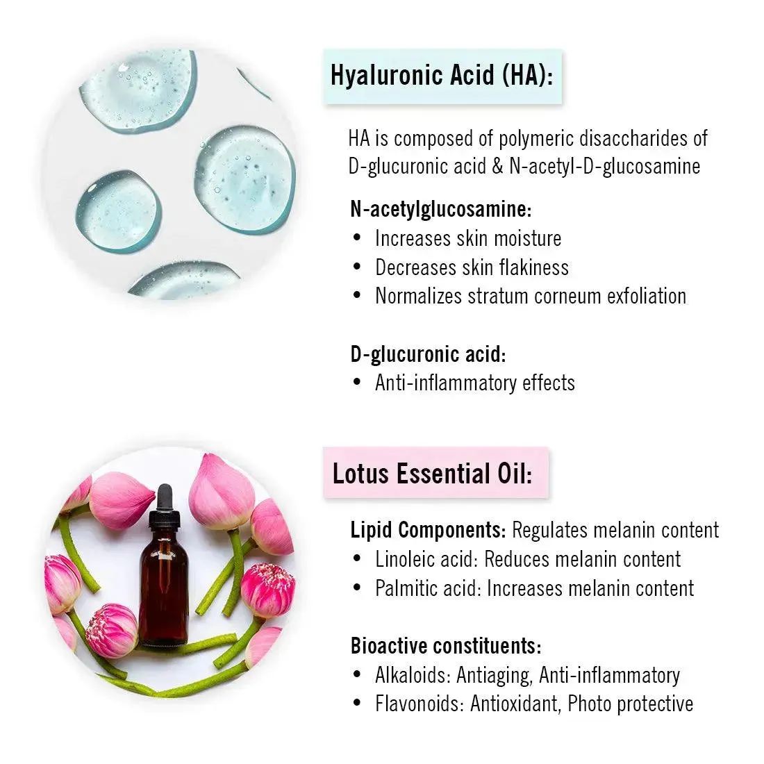 Hyaluronic Lotus Hydrating Facewash, 2 % Pentavitin   Natural Glucoside Foaming, NMFs   Lipids, Skin Barrier Repair, Gentle SLS Free