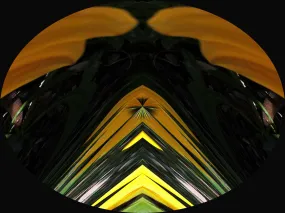 Rejuvenation Reiki from Venus - by Ole Gabrielsen - and Bonus gift from Venus - Hand of Light Attunement
