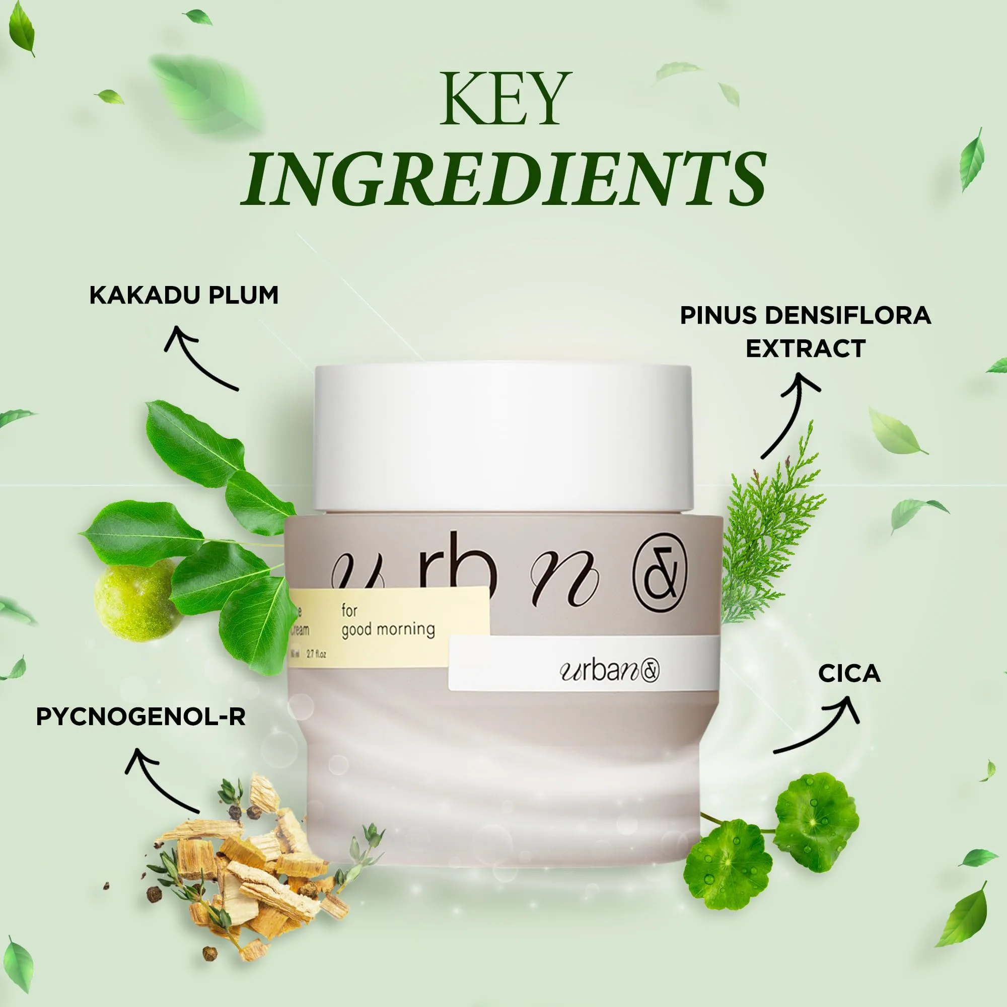 [URBAN AND] PINE CREAM 80ML